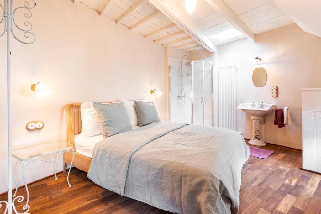 Villa Carriage House In Quiet Ecological Garden Anversa Esterno foto