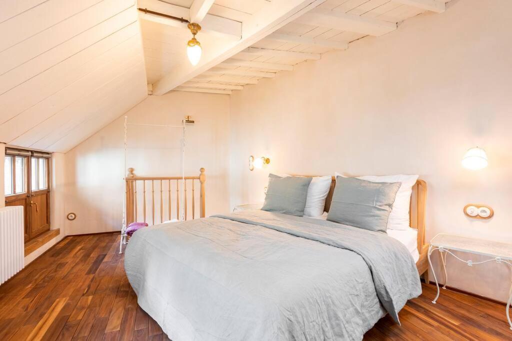 Villa Carriage House In Quiet Ecological Garden Anversa Esterno foto