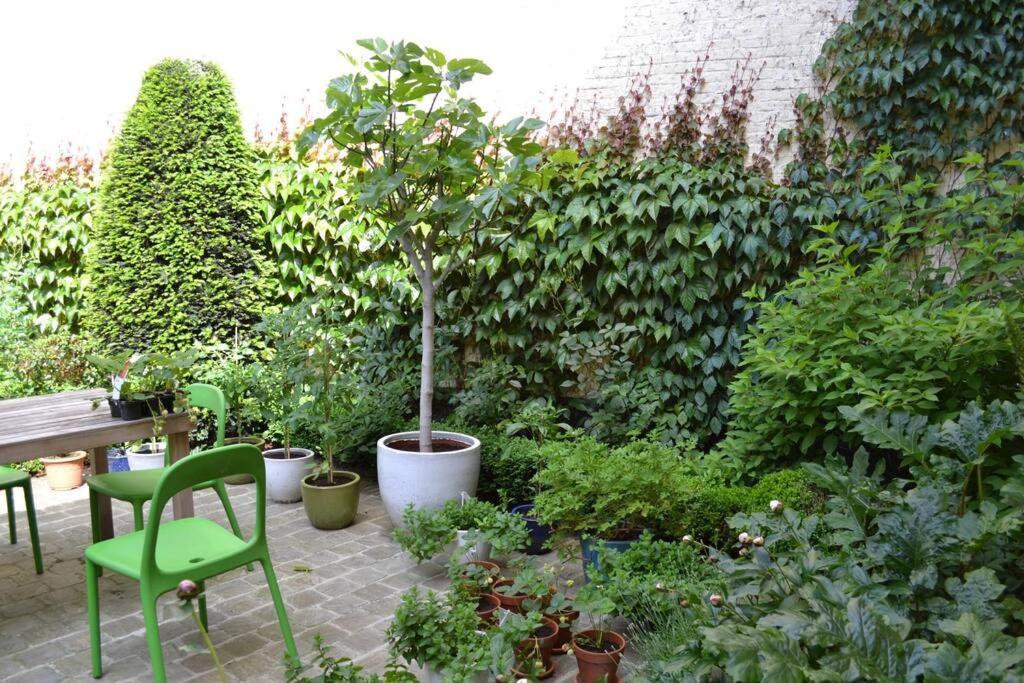Villa Carriage House In Quiet Ecological Garden Anversa Esterno foto