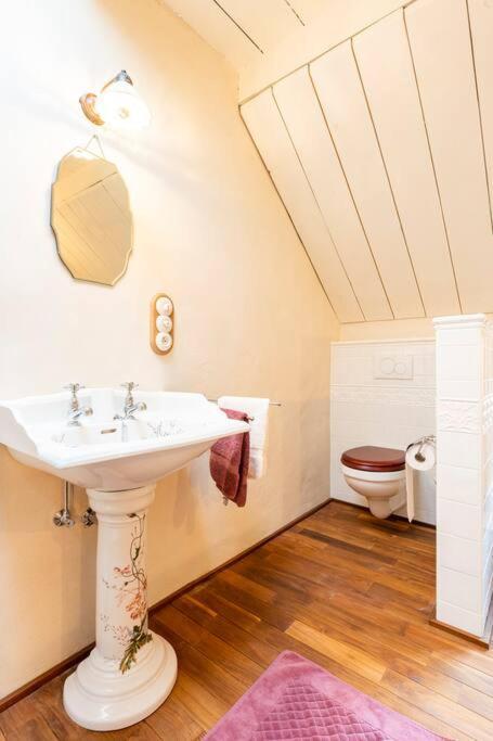 Villa Carriage House In Quiet Ecological Garden Anversa Esterno foto